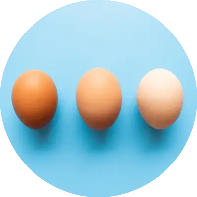 eggs
